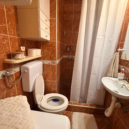 Light & Cozy Flat Banovo Brdo