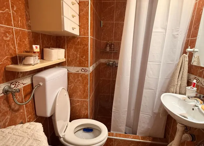 Light & Cozy Flat Banovo Brdo