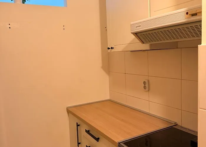 Light & Cozy Flat Banovo Brdo 贝尔格莱德